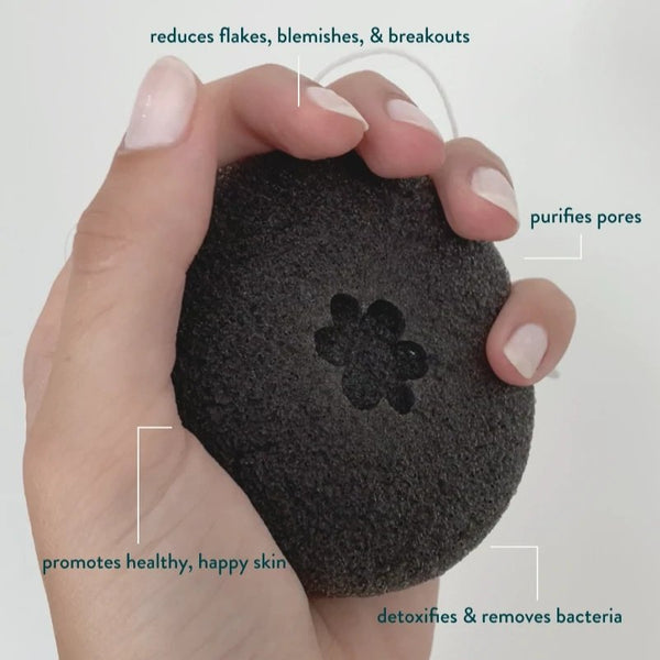 Activated Charcoal Konjac Face Sponge by Wyld Skincare