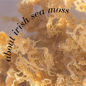 Meet The New Skincare Powerhouse: Irish Sea Moss