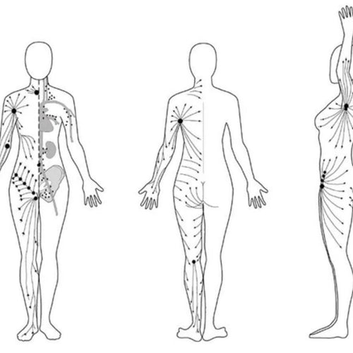 Skin Glow and the Lymphatic System