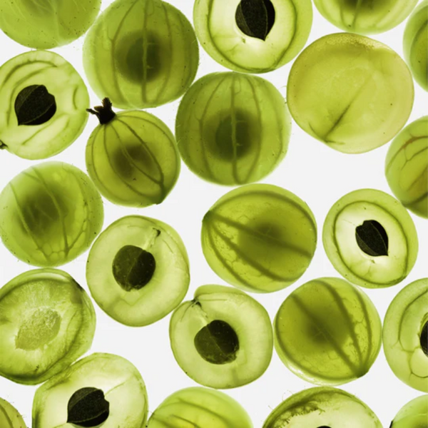 Pattern of green gooseberries on a white background
