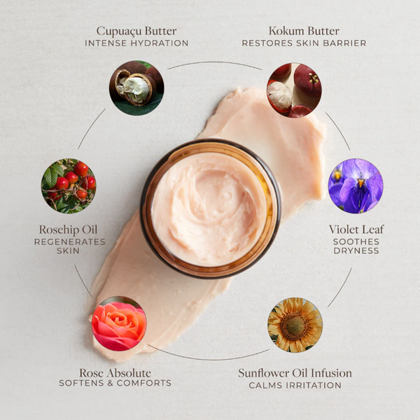 Apoterra Body Butter Ingredient highlight