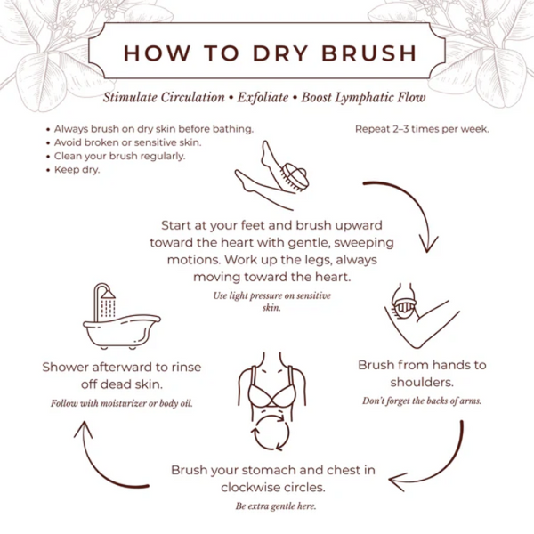 Instructions on how to dry brush with illustrations and text.