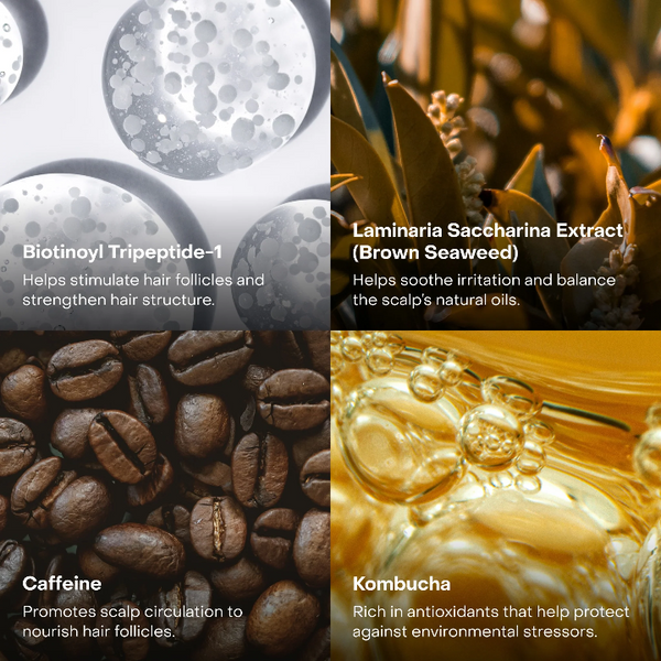 Ingredient highlight for Everist EverBoost scalp treatment