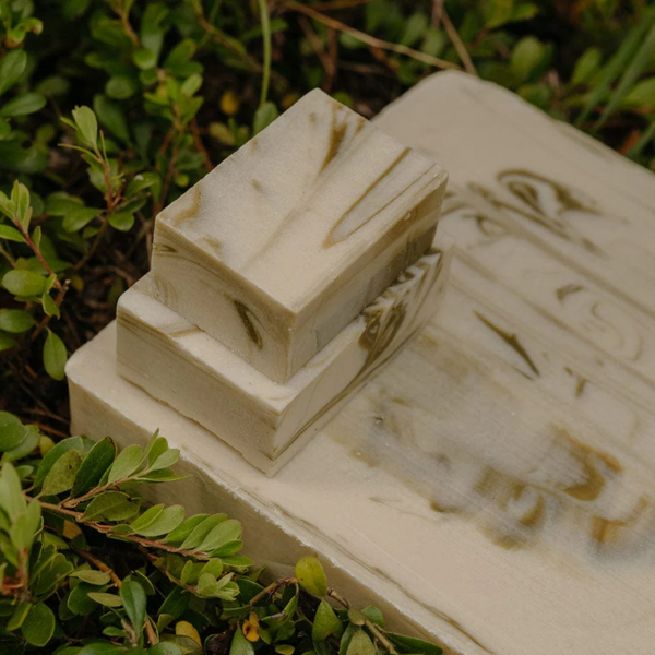 Aloe There! Bar Soap by Rocky