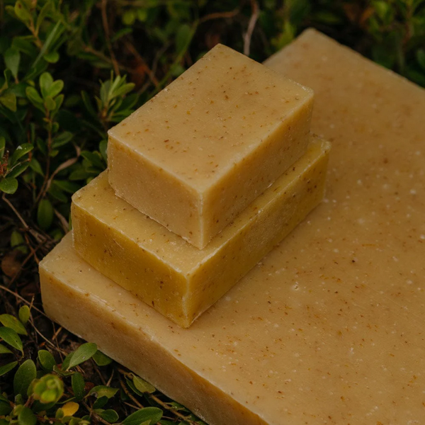 bars of Rocky Pumpkin cold pressed bar soap made in Canada