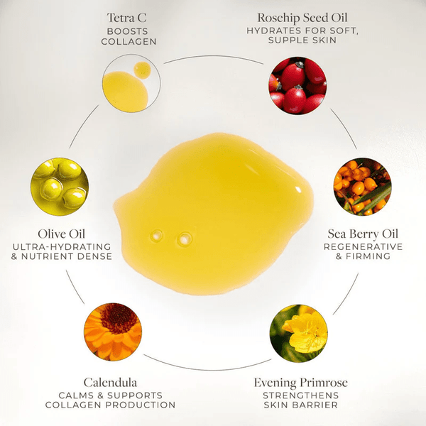 Vitamin C Body Oil - Rose & Amyris by Apoterra Skincare