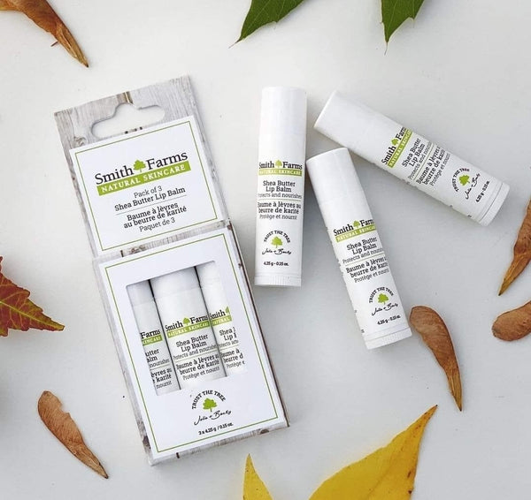 Pack of 3 Shea Butter Lip Balms by Smith Farms
