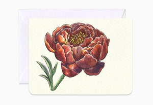 Peony Queen of Flowers- mini card by Gotamago