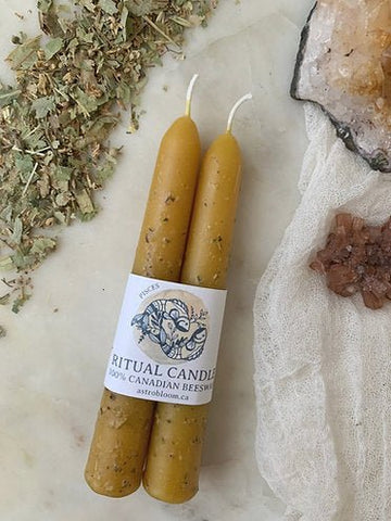 Pisces Beeswax Ritual Candles by Astrobloom